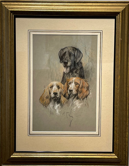 Black Lablador & Two Spaniels