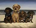 Shanti, Toby, Biscuit and Genesis