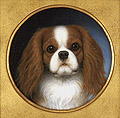 Oliver