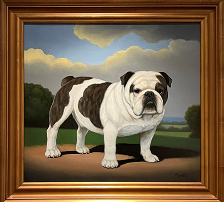 Bulldog