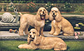 Nevil, Ruby and Reginald