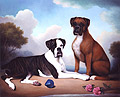 Belle and Ginger
