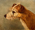 Ginger <br> The Duke of Plumtree Hall