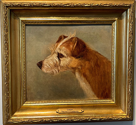 Ginger <br> The Duke of Plumtree Hall