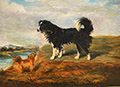 A Newfoundland and a Terrier
