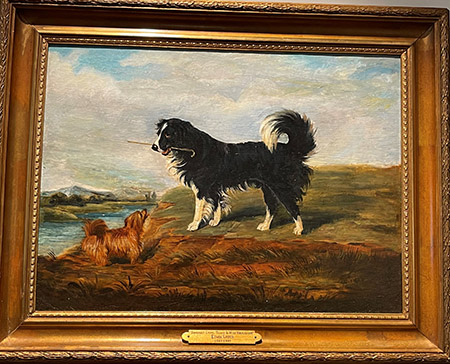 A Newfoundland and a Terrier