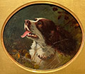 Nellie