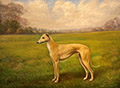 Latto, The Greyhound