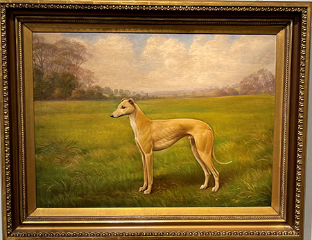 Latto, The Greyhound