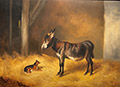 Donkey and a Dog in a Stable