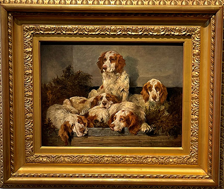 Clumber Spaniels in a Kennel