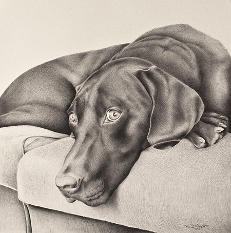 Bailey