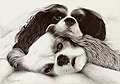 Nap Time