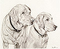 Sullivan & Dutch