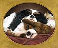 Kennel Mates