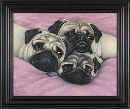 Three Pugs