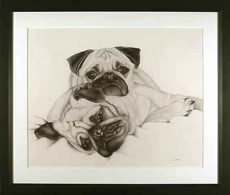 Two Pugs